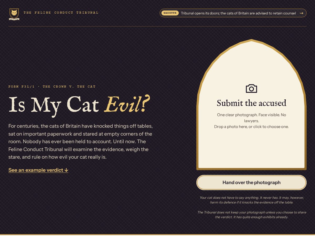 Landing-page snapshot of ismycatevil.com