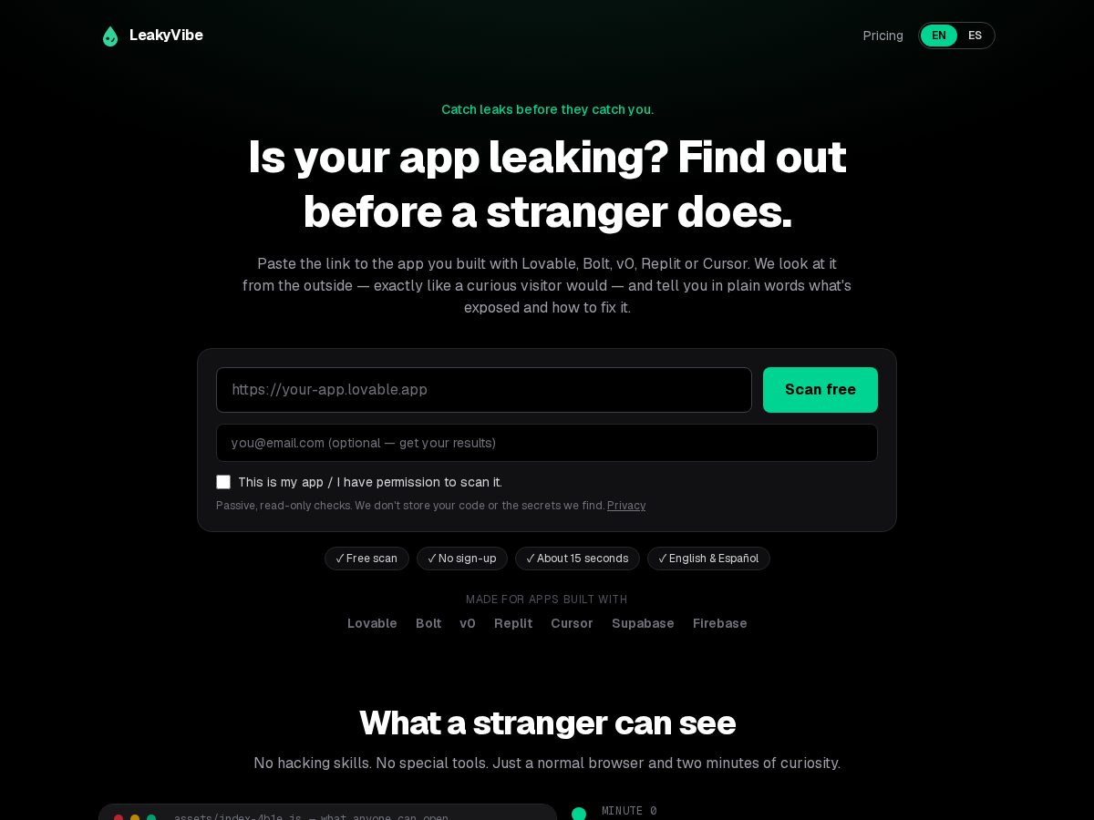 Landing-page snapshot of leakyvibe.com