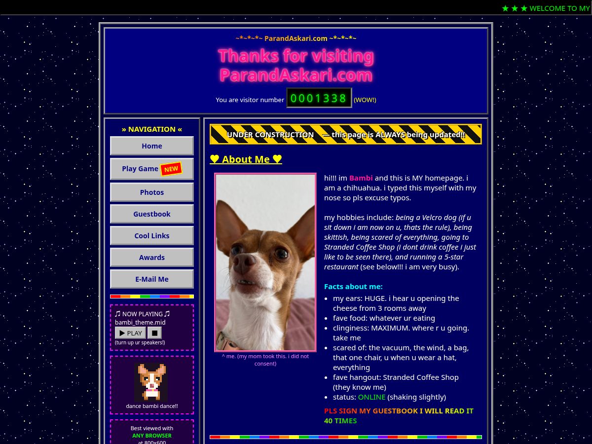 Landing-page snapshot of parandaskari.com