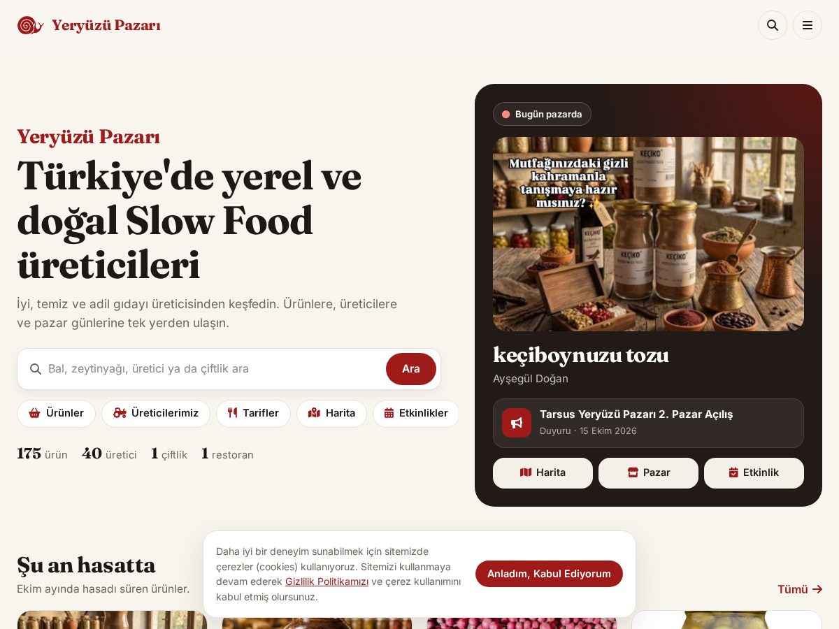 Landing-page snapshot of yeryuzupazari.com