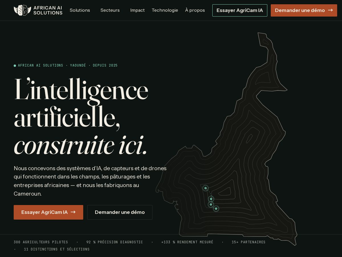 Landing-page snapshot of africanaisolutions.com