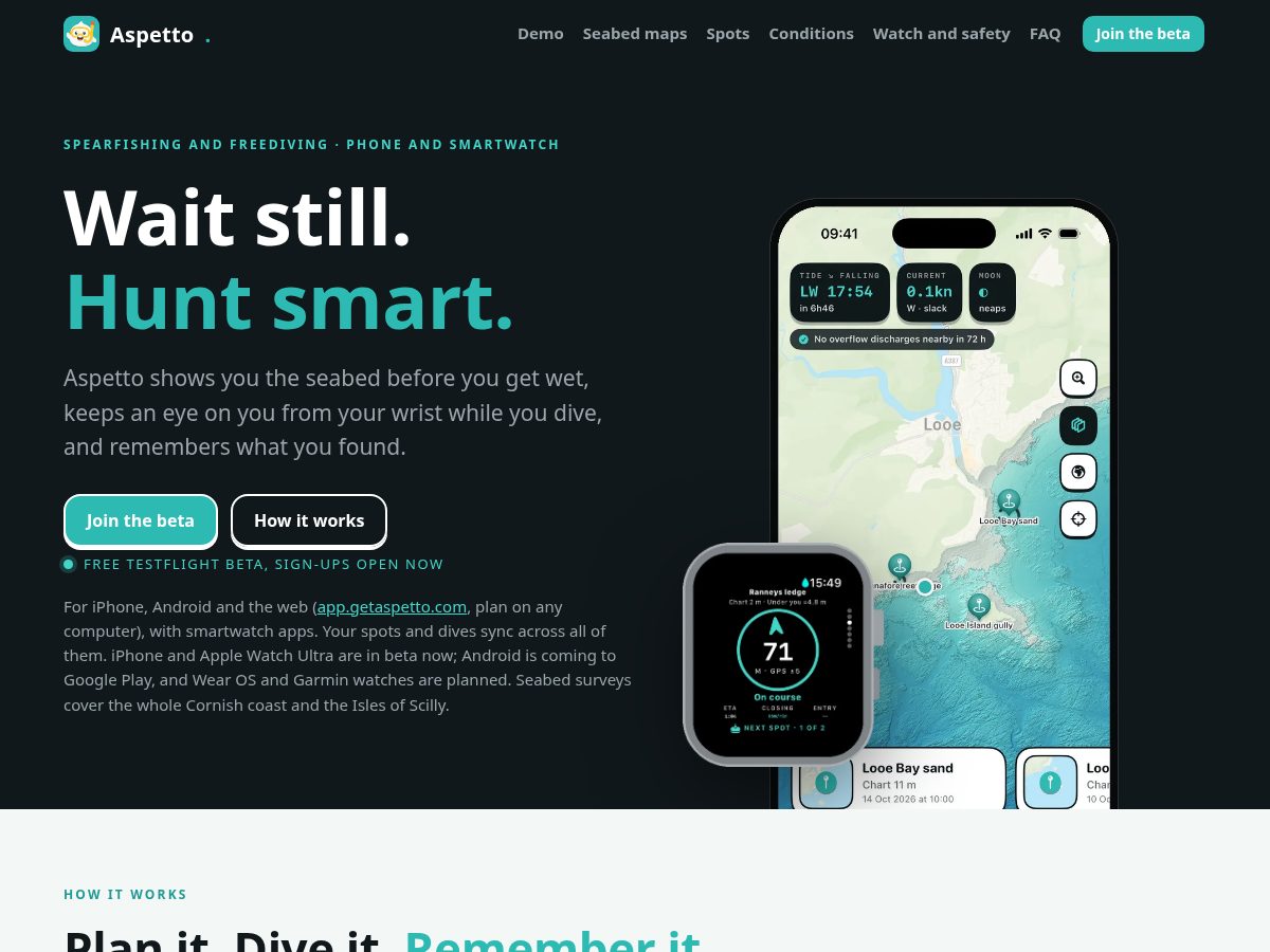 Landing-page snapshot of getaspetto.com