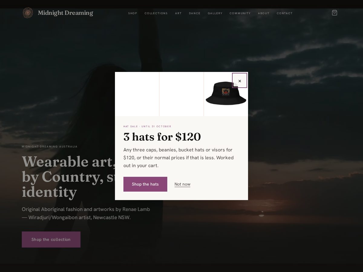 Landing-page snapshot of midnightdreaming.studio