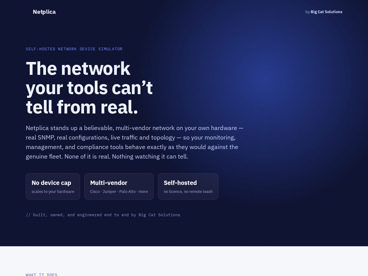 Landing-page snapshot of netplica.com