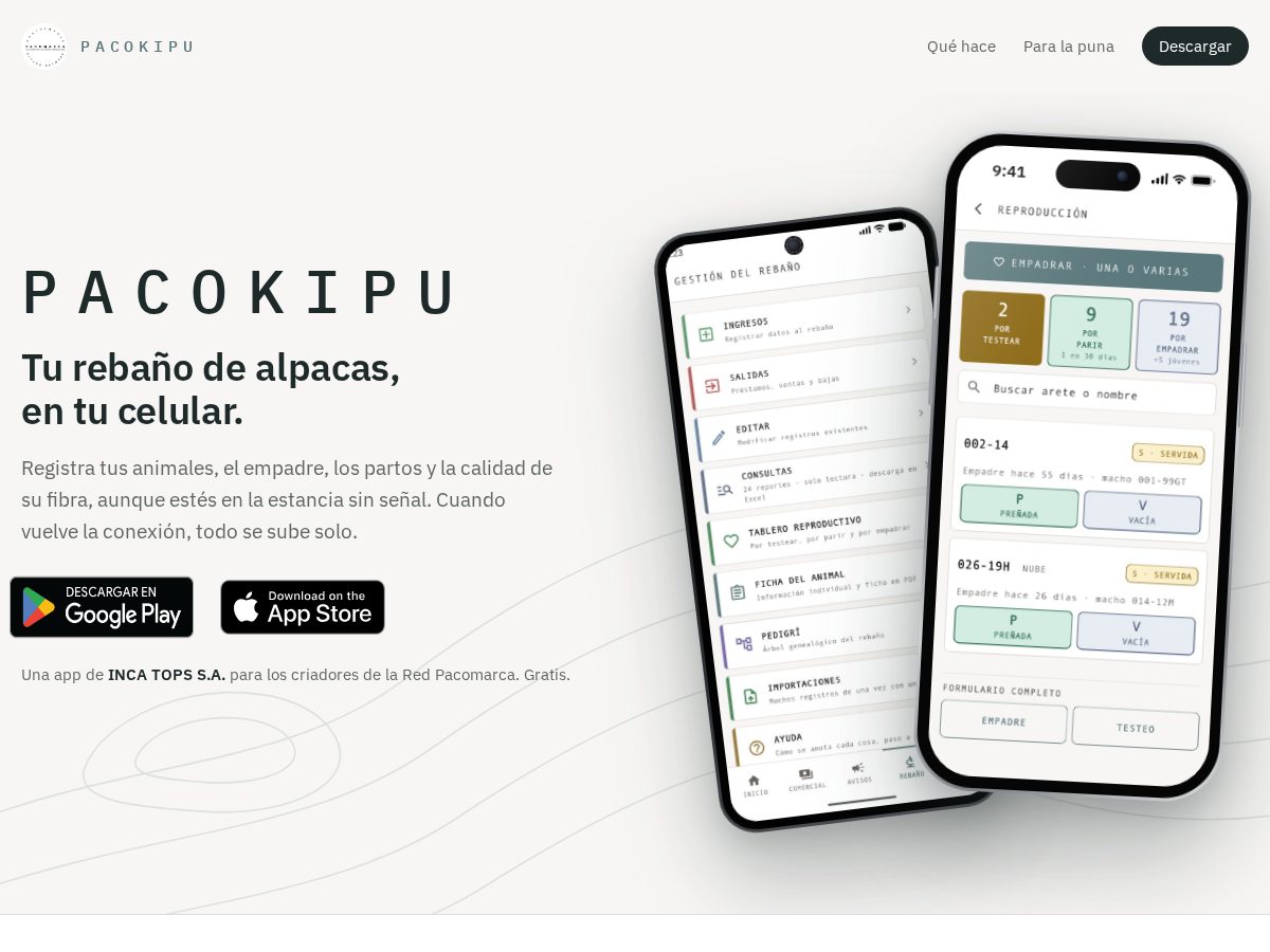 Landing-page snapshot of pacokipu.app