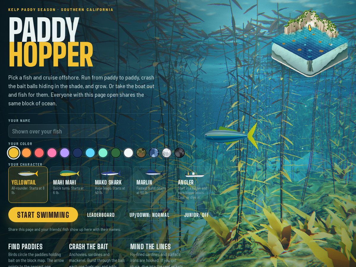 Landing-page snapshot of paddyhopper.com
