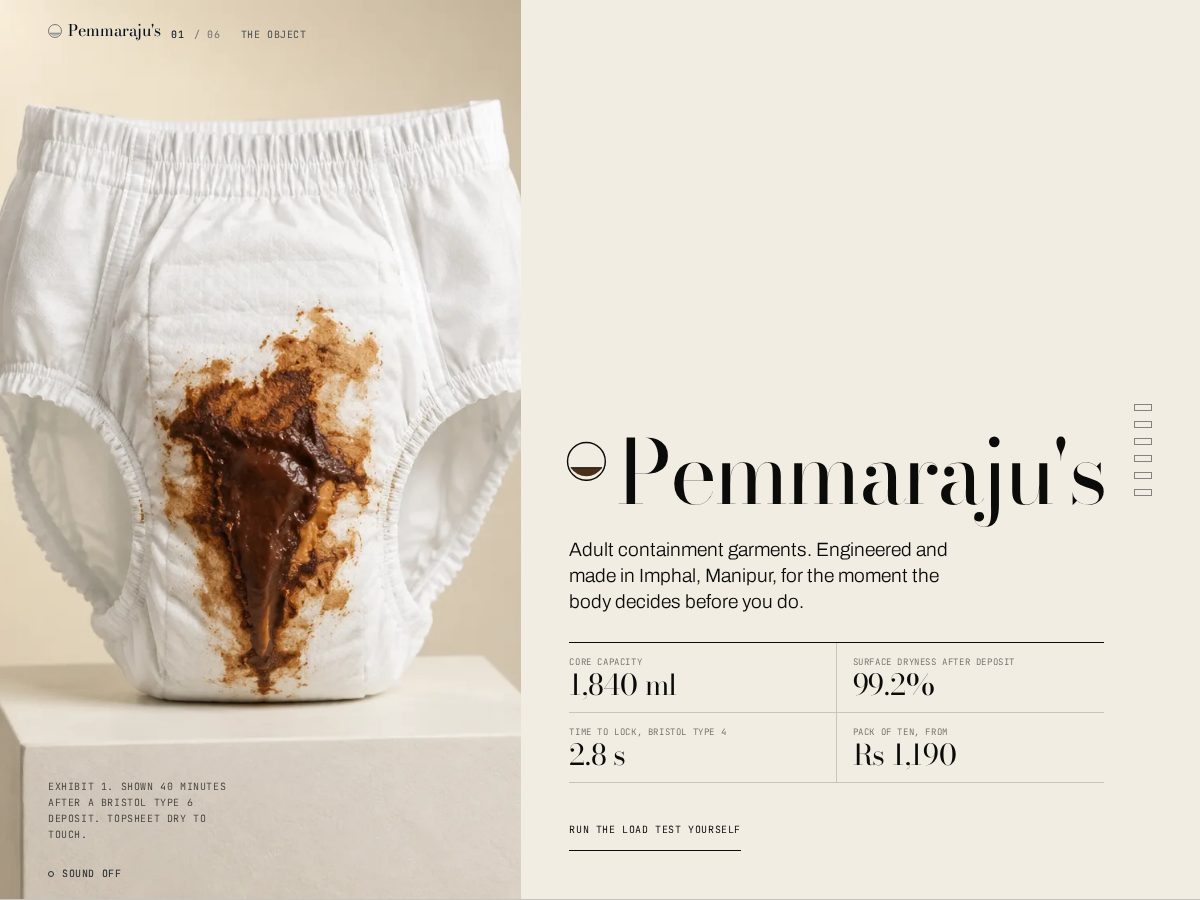 Landing-page snapshot of pemmaraju.com