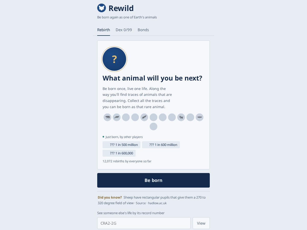 Landing-page snapshot of playrewild.com