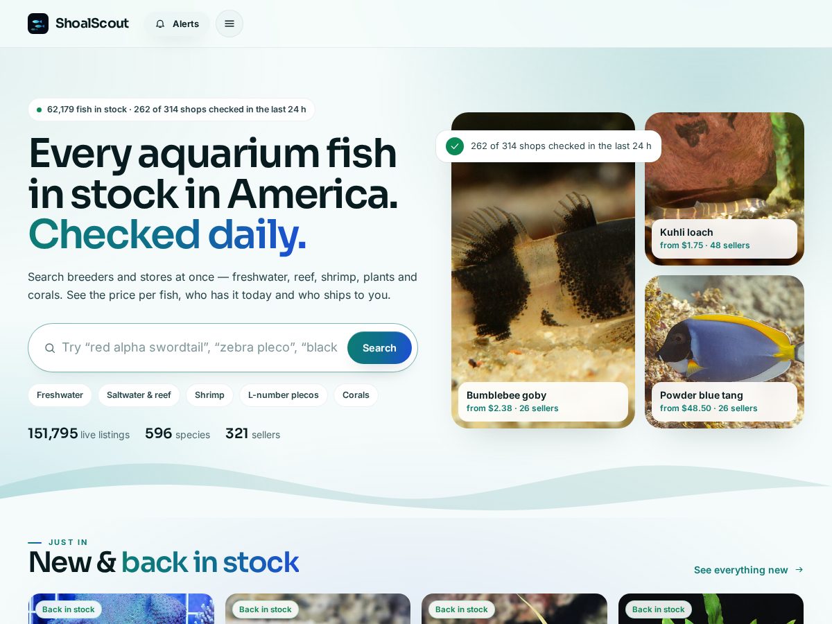 Landing-page snapshot of shoalscout.com