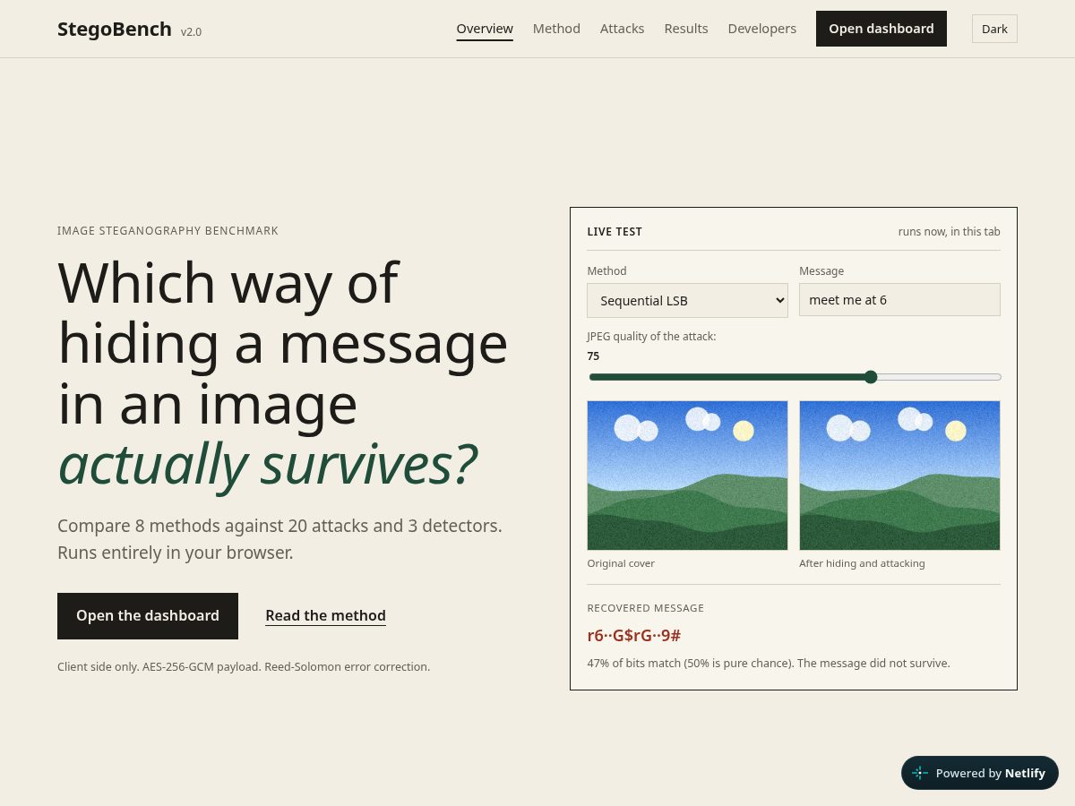 Landing-page snapshot of stegobench.site