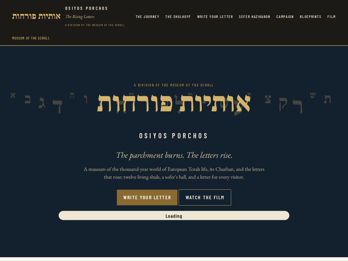 Landing-page snapshot of therisingletters.com