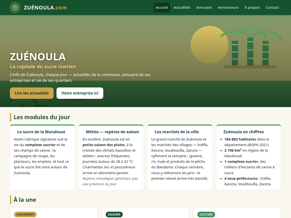 Landing-page snapshot of zuenoula.com