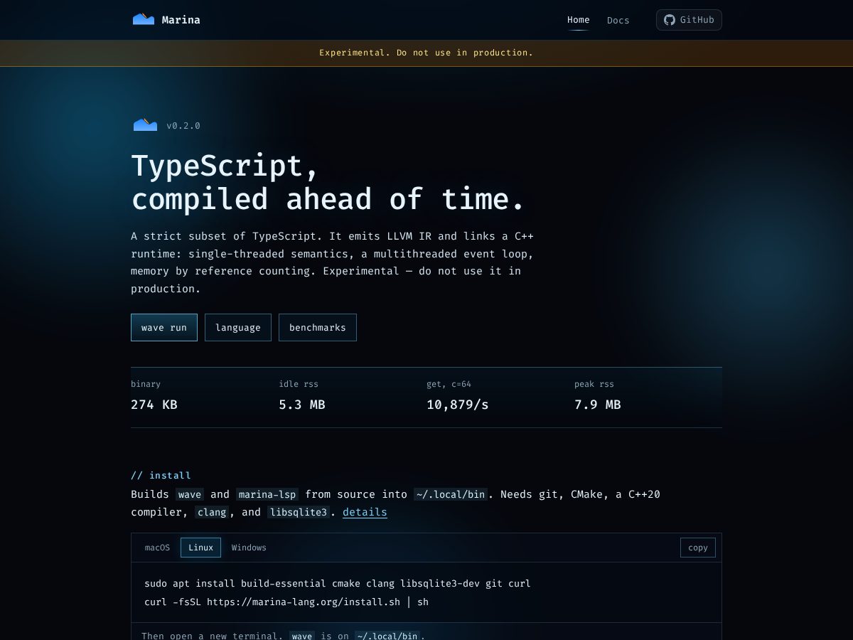 Landing-page snapshot of marina-lang.org