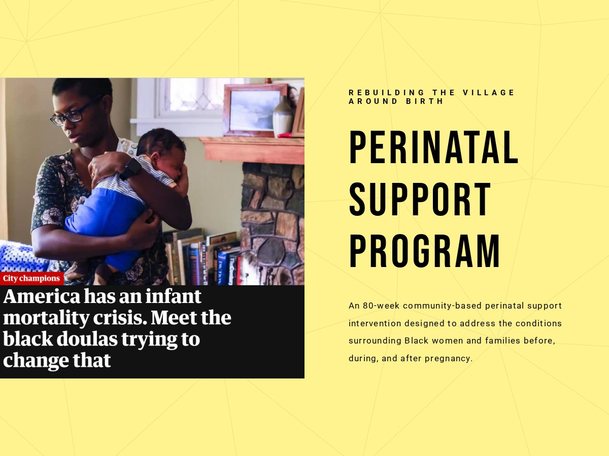 Landing-page snapshot of perinatalsupportprogram.com