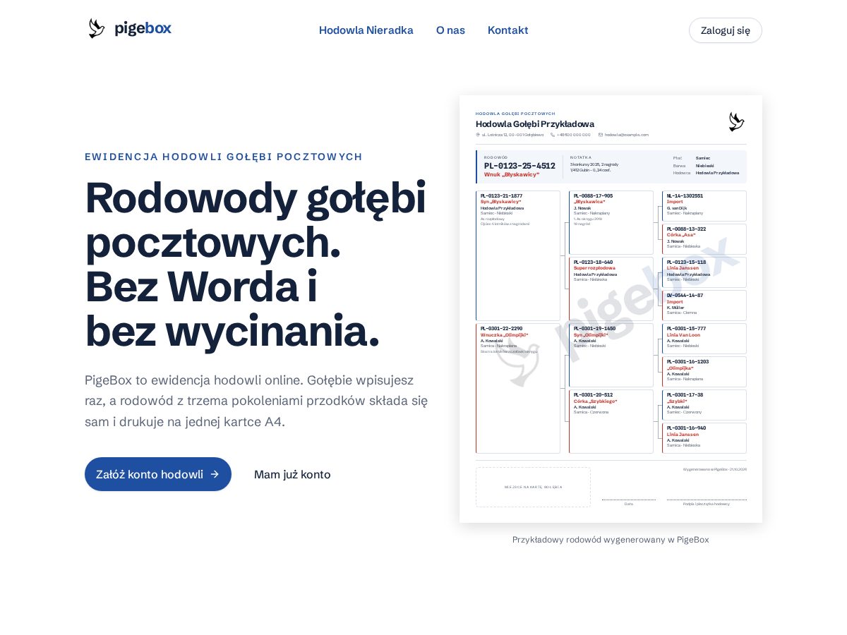 Landing-page snapshot of pigebox.com