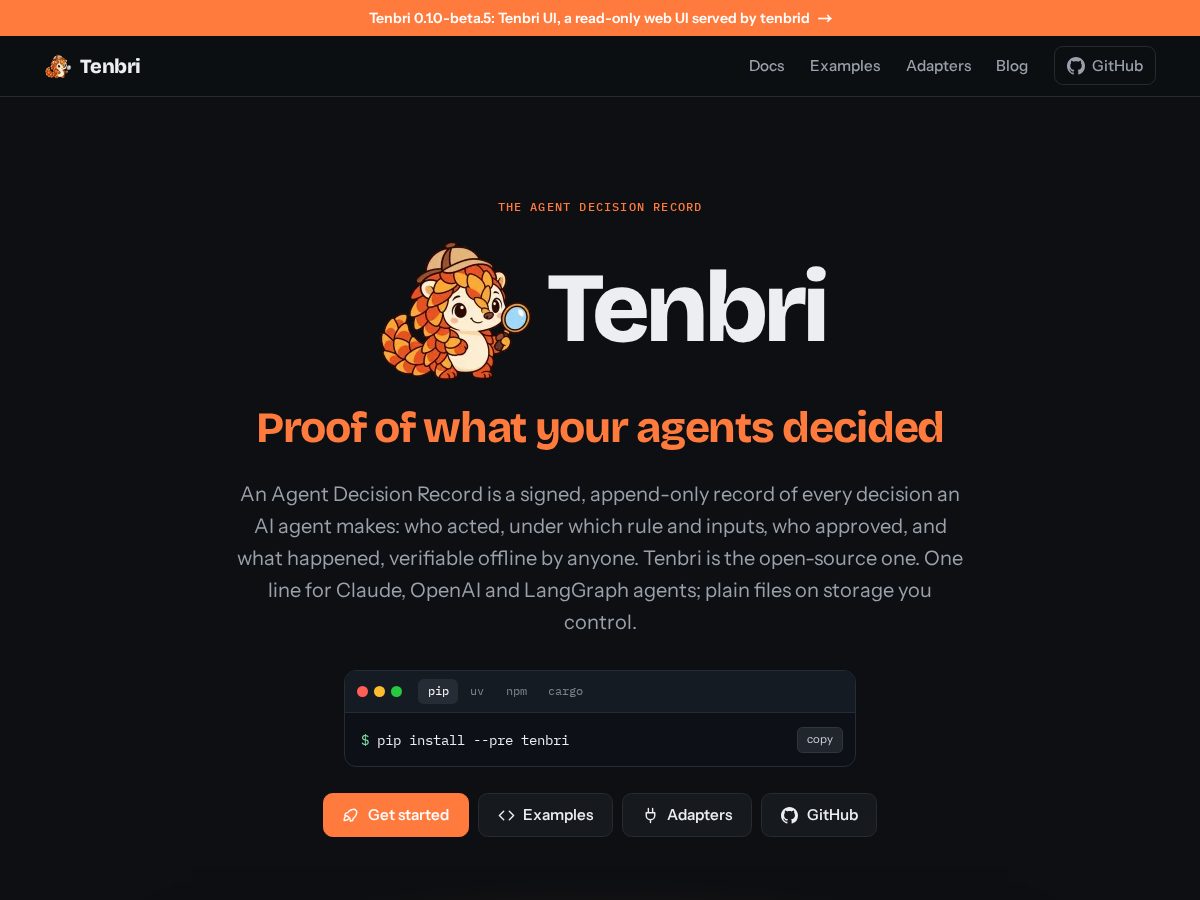 Landing-page snapshot of tenbri.com