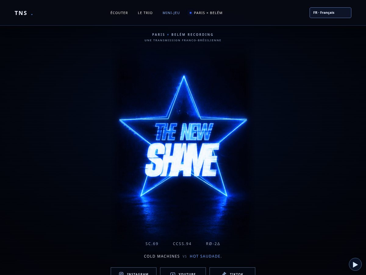 Landing-page snapshot of thenewshame.art