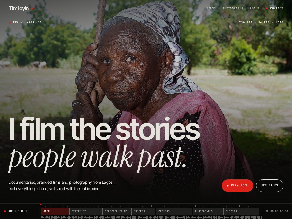 Landing-page snapshot of timileyin-portfolio.com