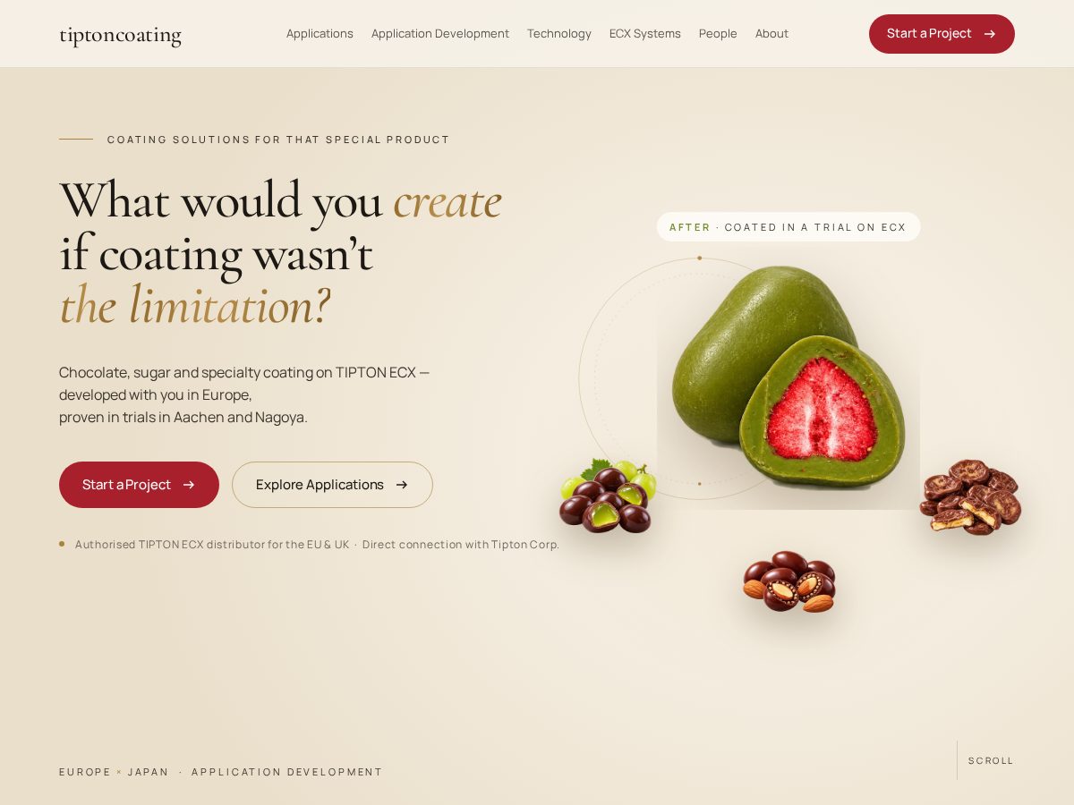 Landing-page snapshot of tiptoncoating.com