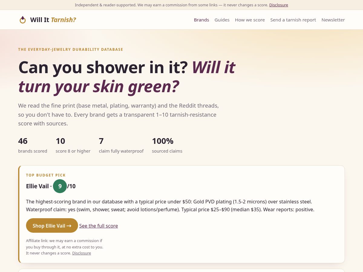 Landing-page snapshot of willittarnish.com