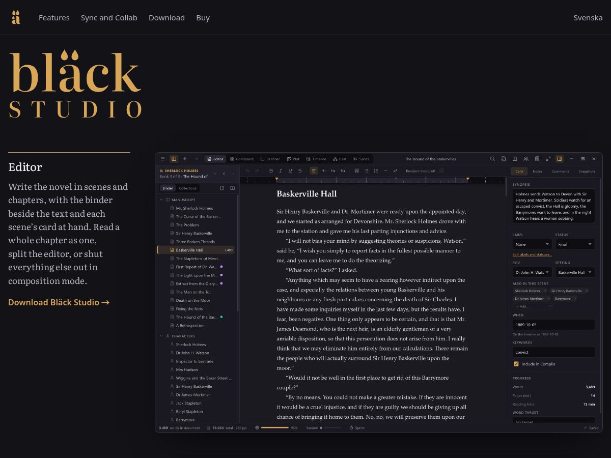 Landing-page snapshot of xn--blck-moa.ink