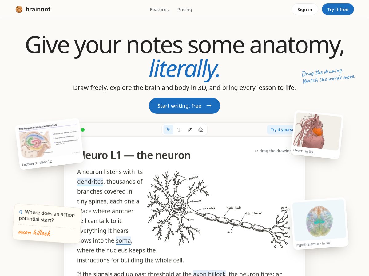 Landing-page snapshot of brainnot.com
