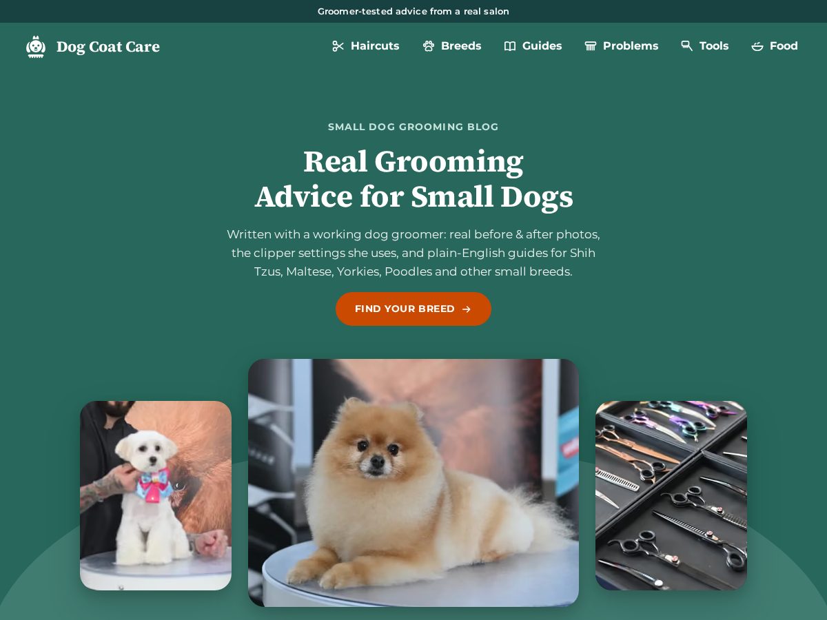 Landing-page snapshot of dogcoatcare.com
