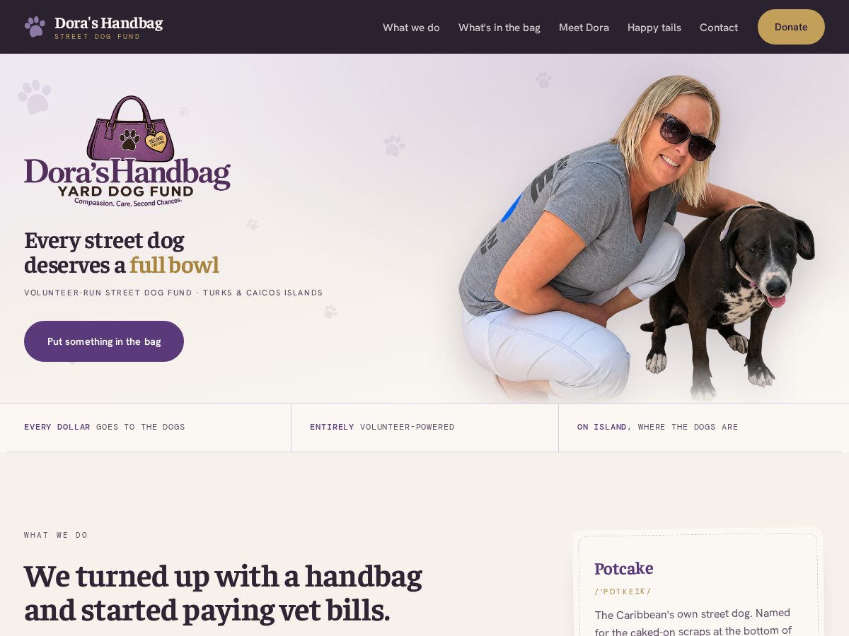 Landing-page snapshot of dorashandbag.com
