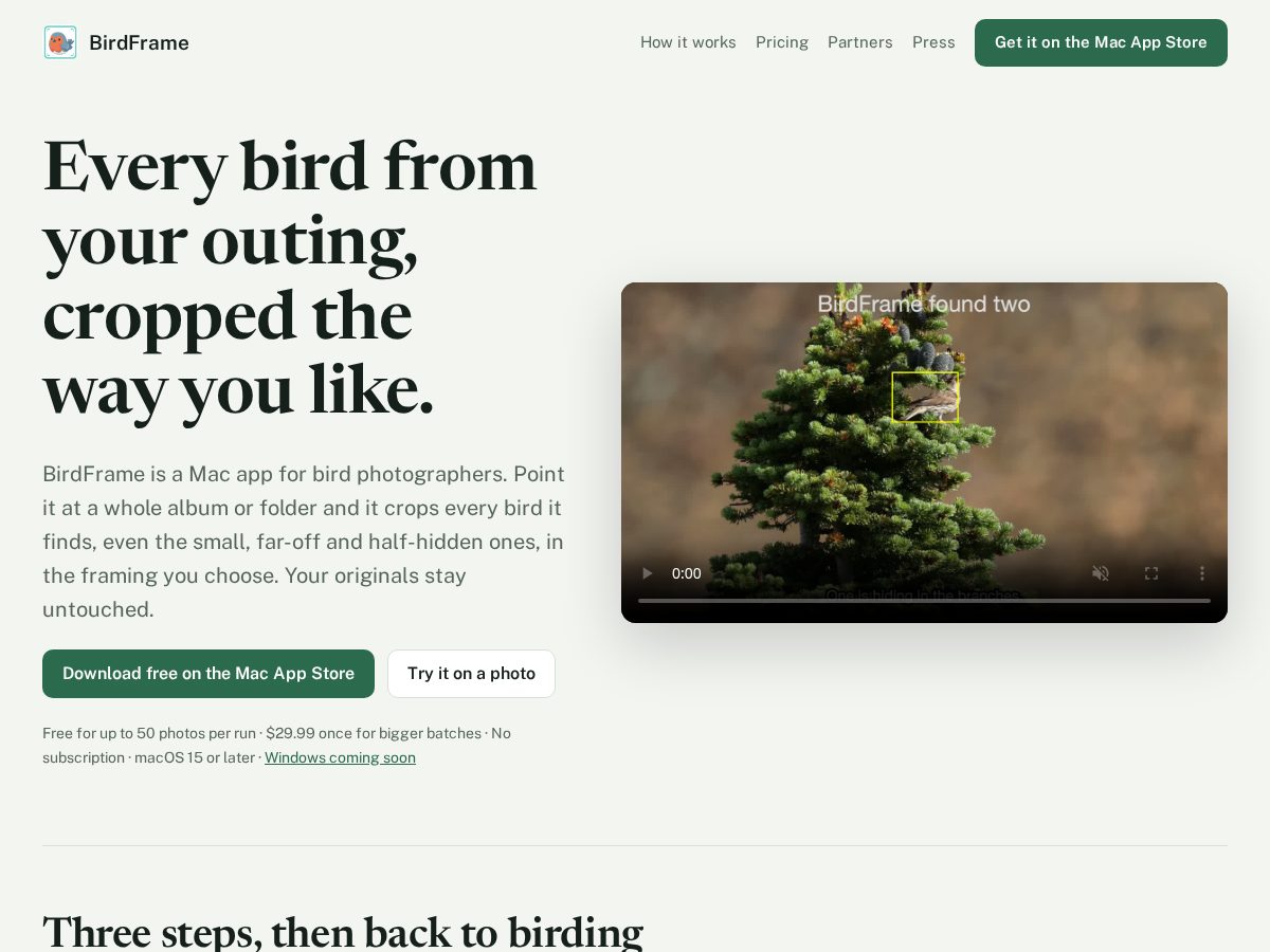 Landing-page snapshot of getbirdframe.com
