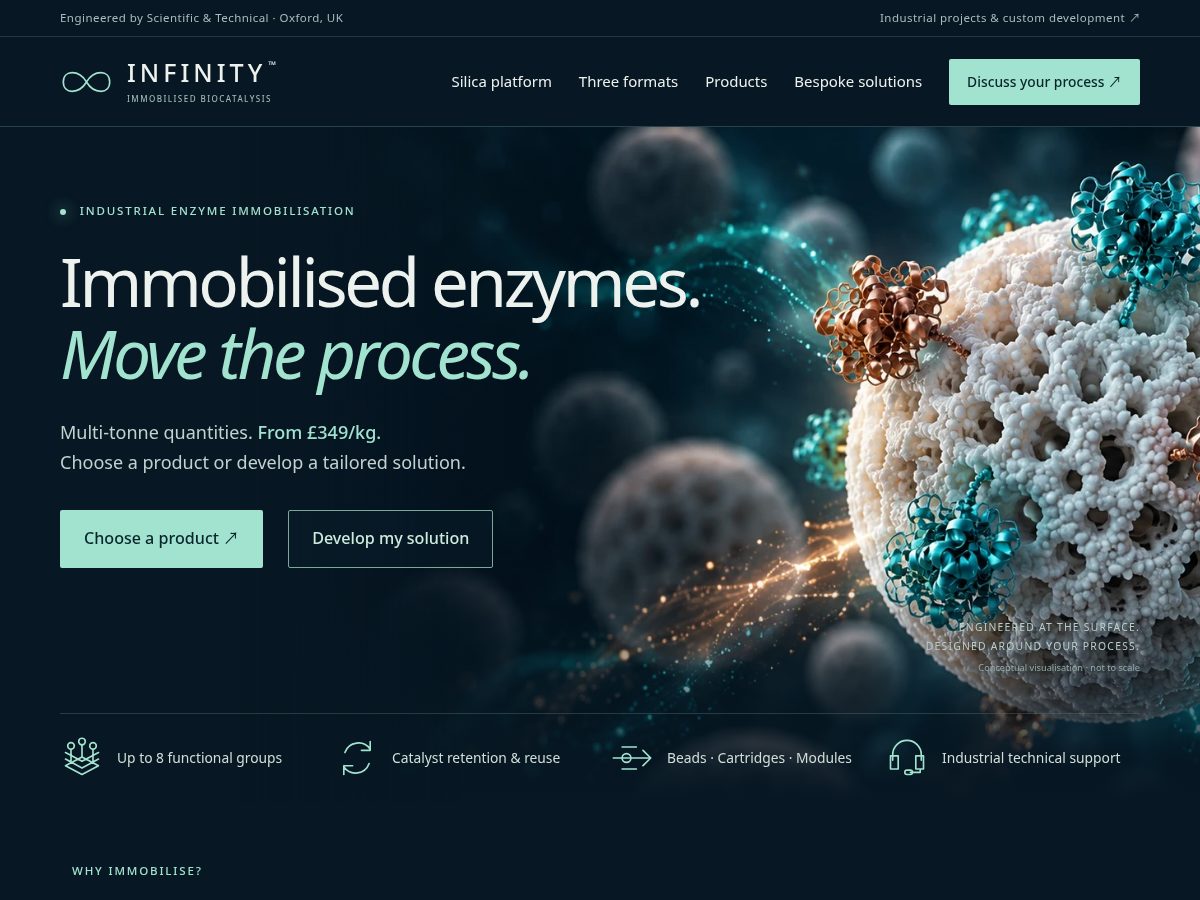Landing-page snapshot of immobilized-enzymes.com