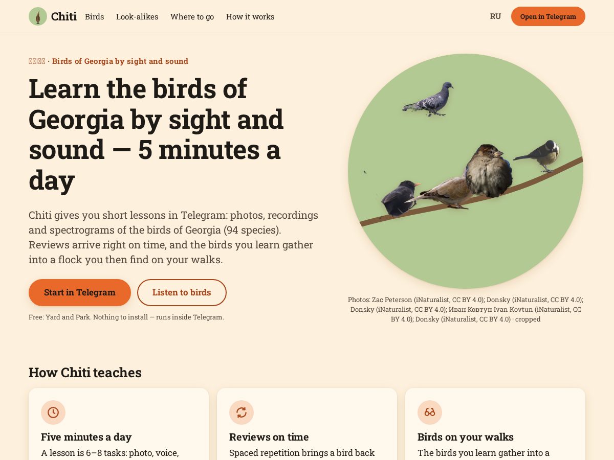 Landing-page snapshot of mychiti.com