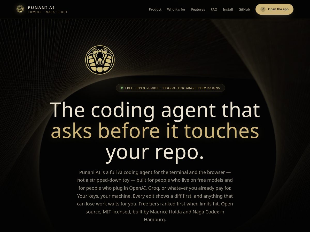 Landing-page snapshot of punani.agency