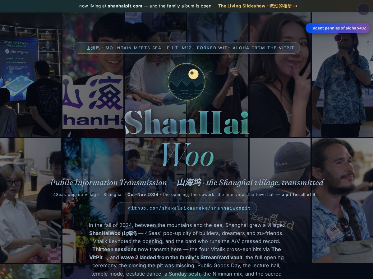 Landing-page snapshot of shanhaipit.com