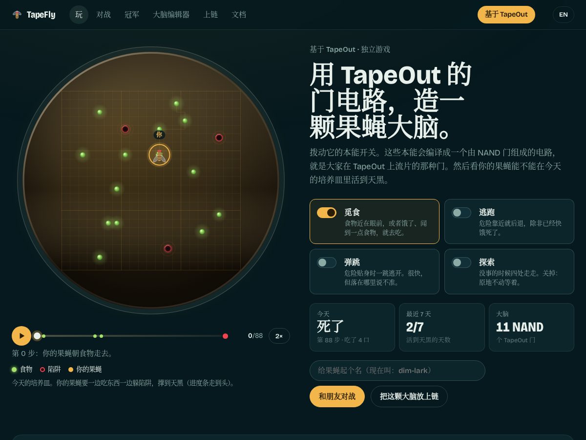 Landing-page snapshot of tapefly.xyz