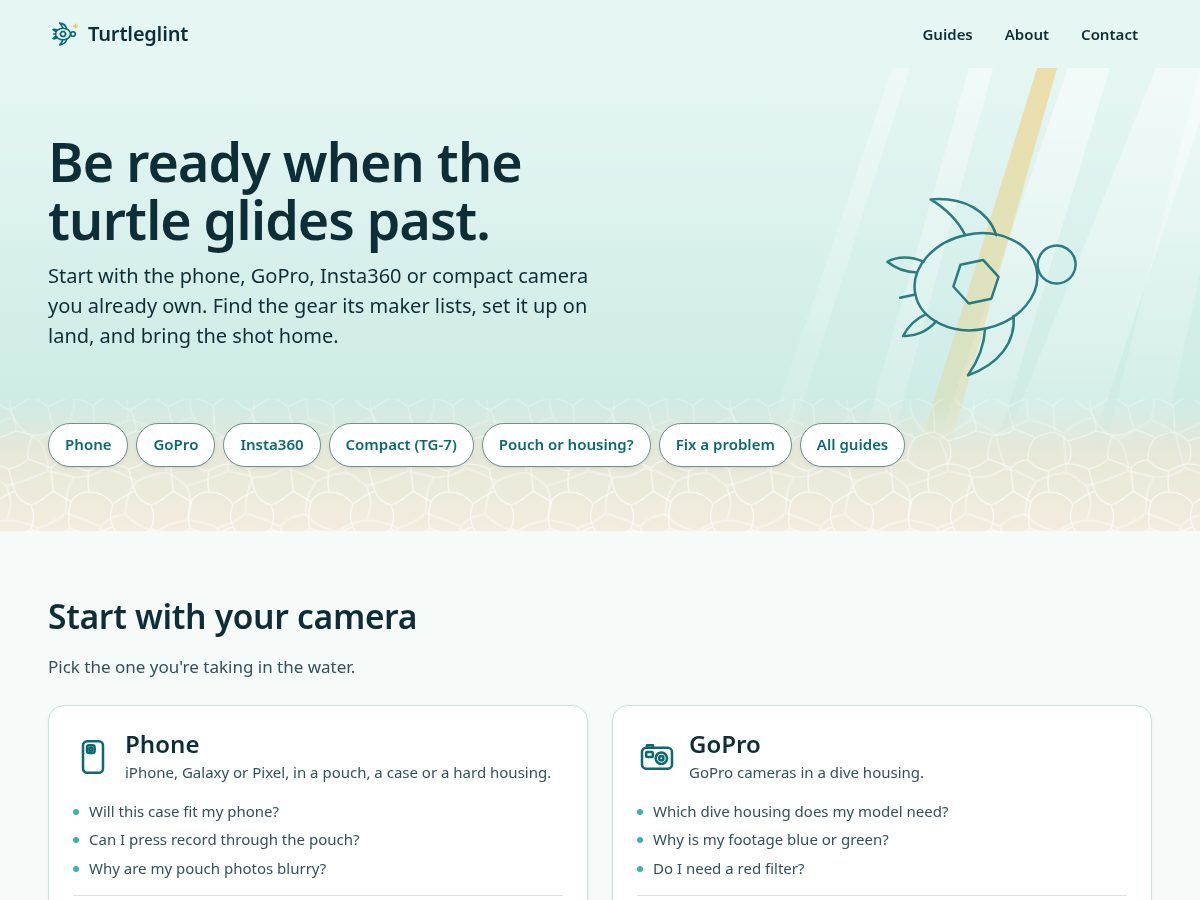 Landing-page snapshot of turtleglint.com