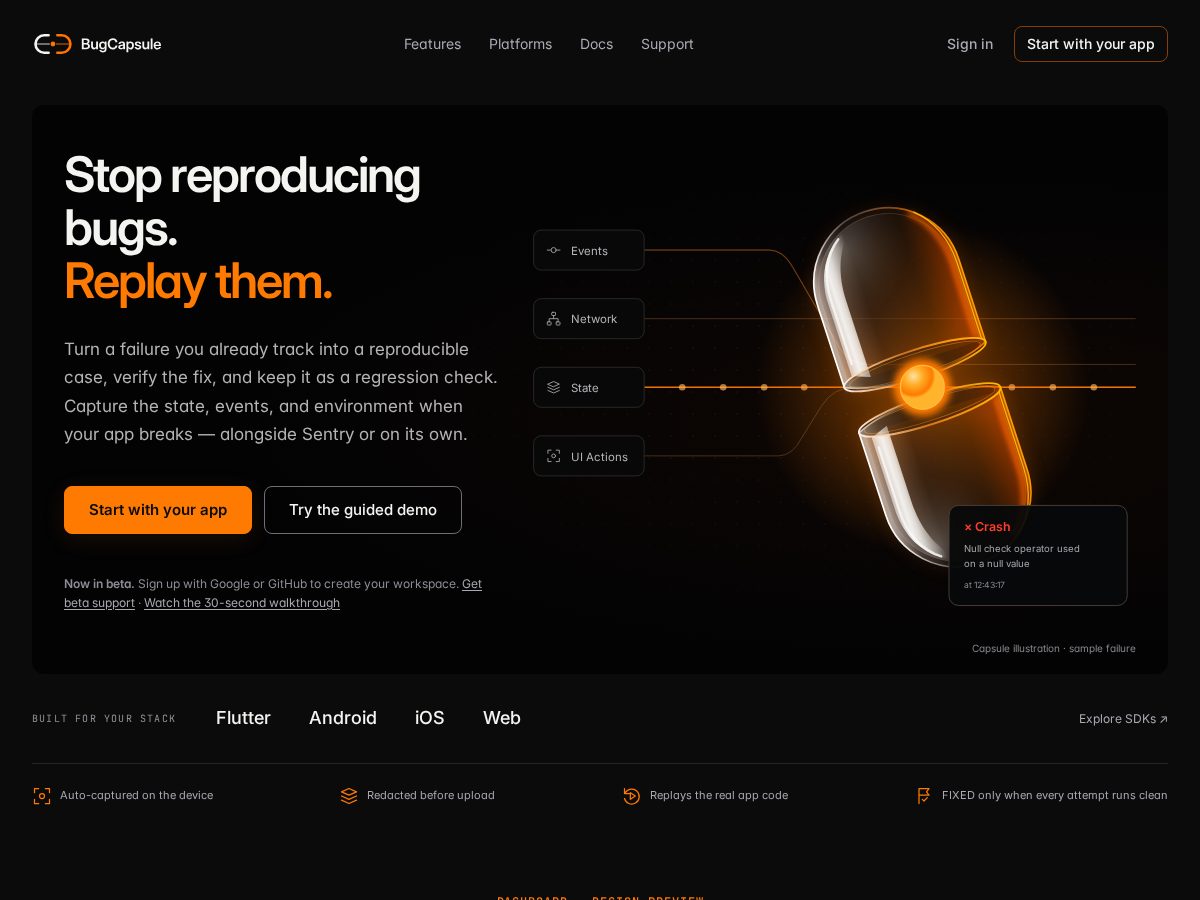 Landing-page snapshot of bugcapsule.com