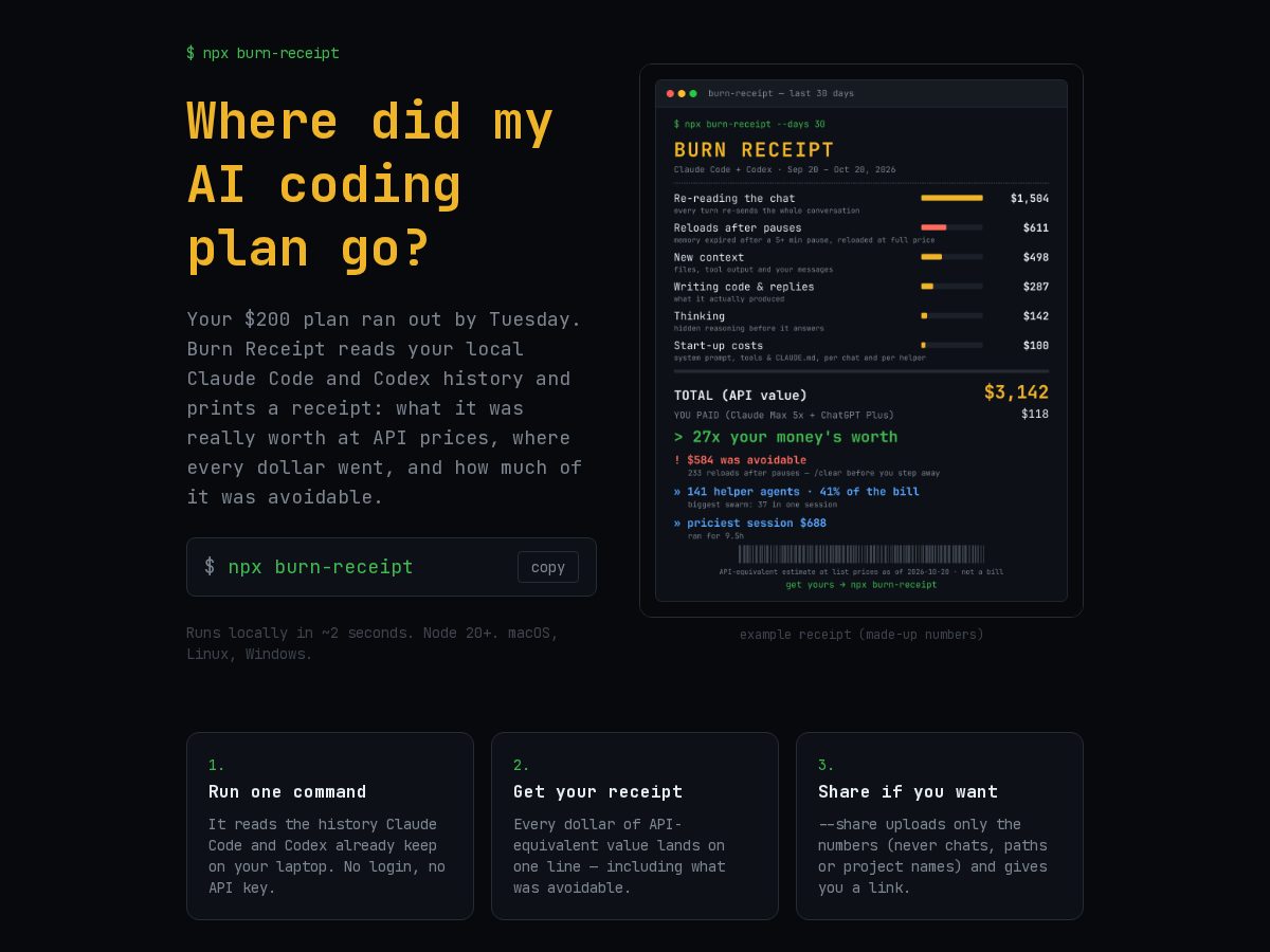 Landing-page snapshot of burnreceipt.dev