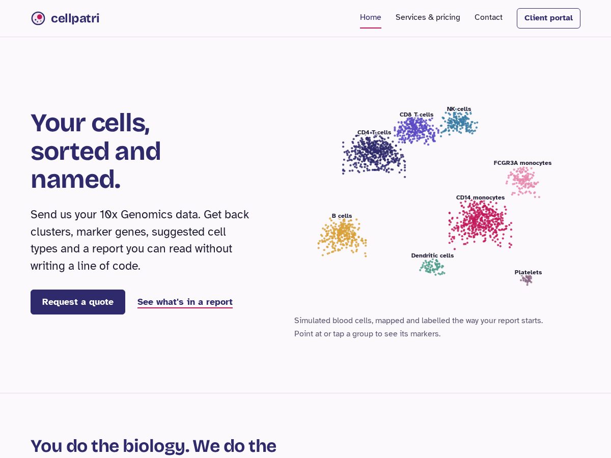 Landing-page snapshot of cellpatri.com