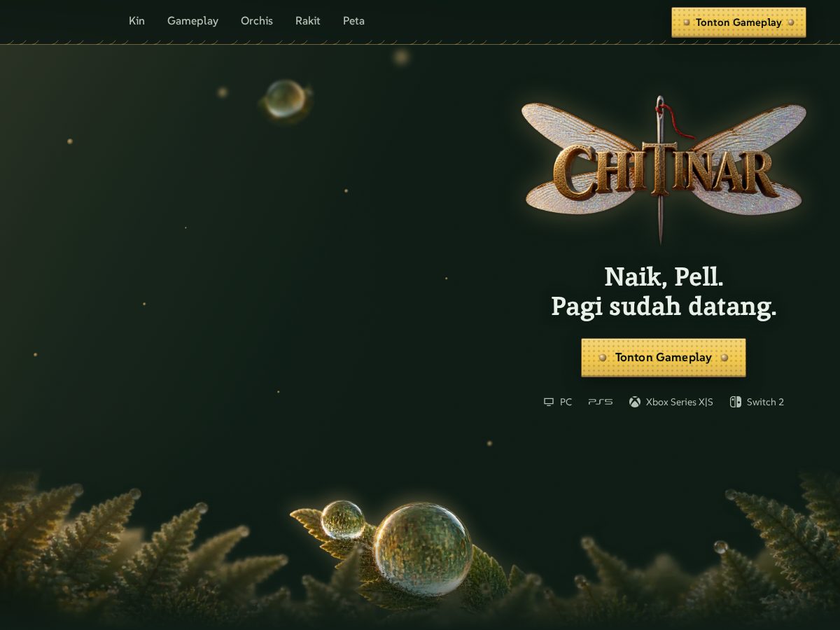 Landing-page snapshot of chitinar.com