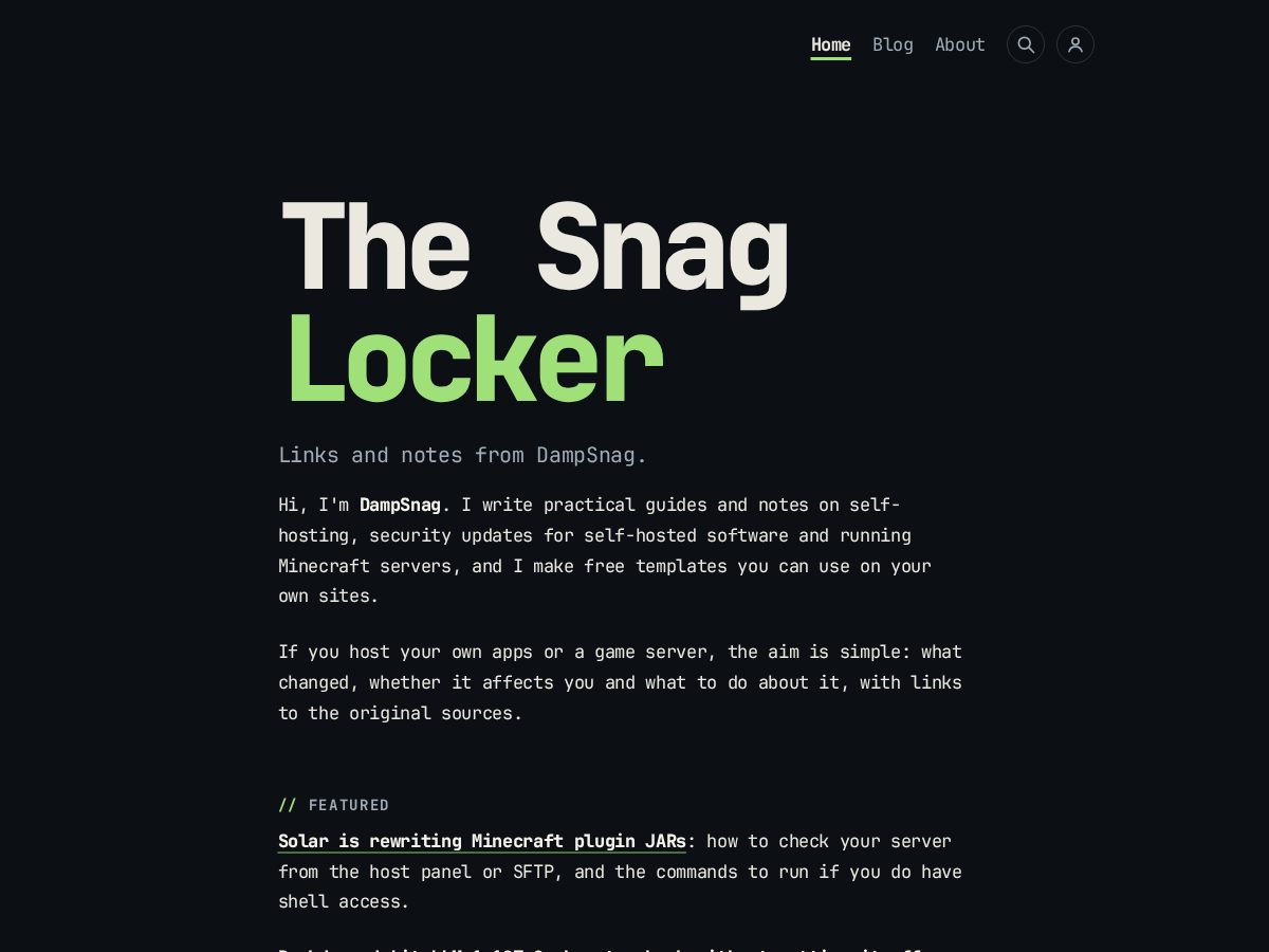 Landing-page snapshot of dampsnag.com