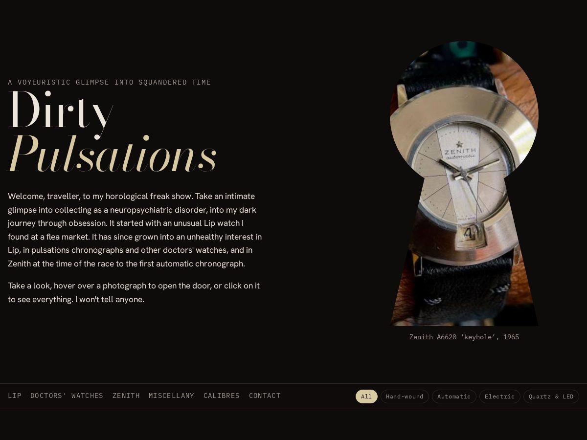 Landing-page snapshot of dirtypulsations.org