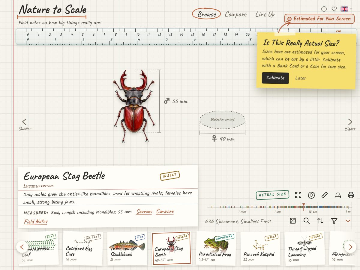 Landing-page snapshot of naturetoscale.com