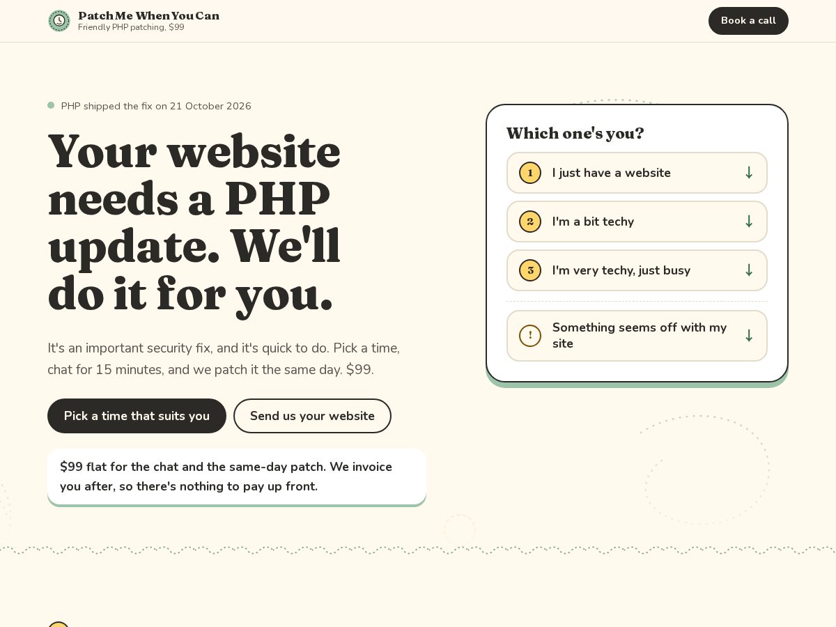 Landing-page snapshot of patchmewhenyoucan.com