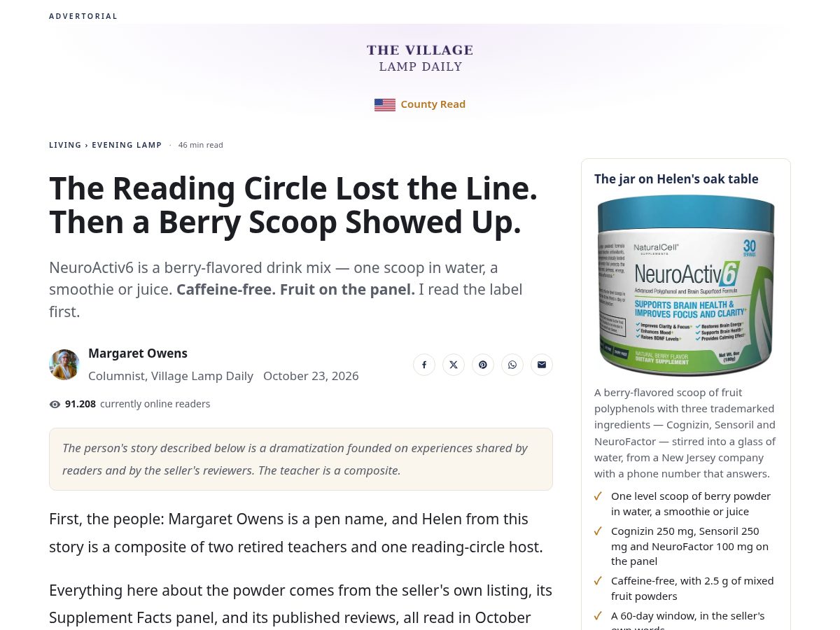 Landing-page snapshot of villagelampdaily.com