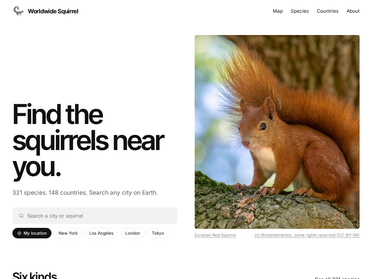 Landing-page snapshot of worldwidesquirrel.com