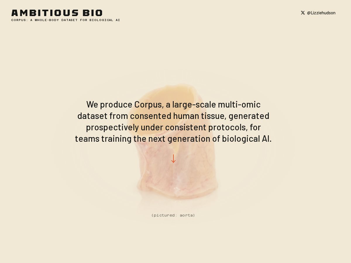 Landing-page snapshot of ambitiousbio.net