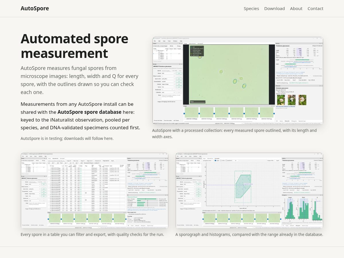 Landing-page snapshot of autospore.org