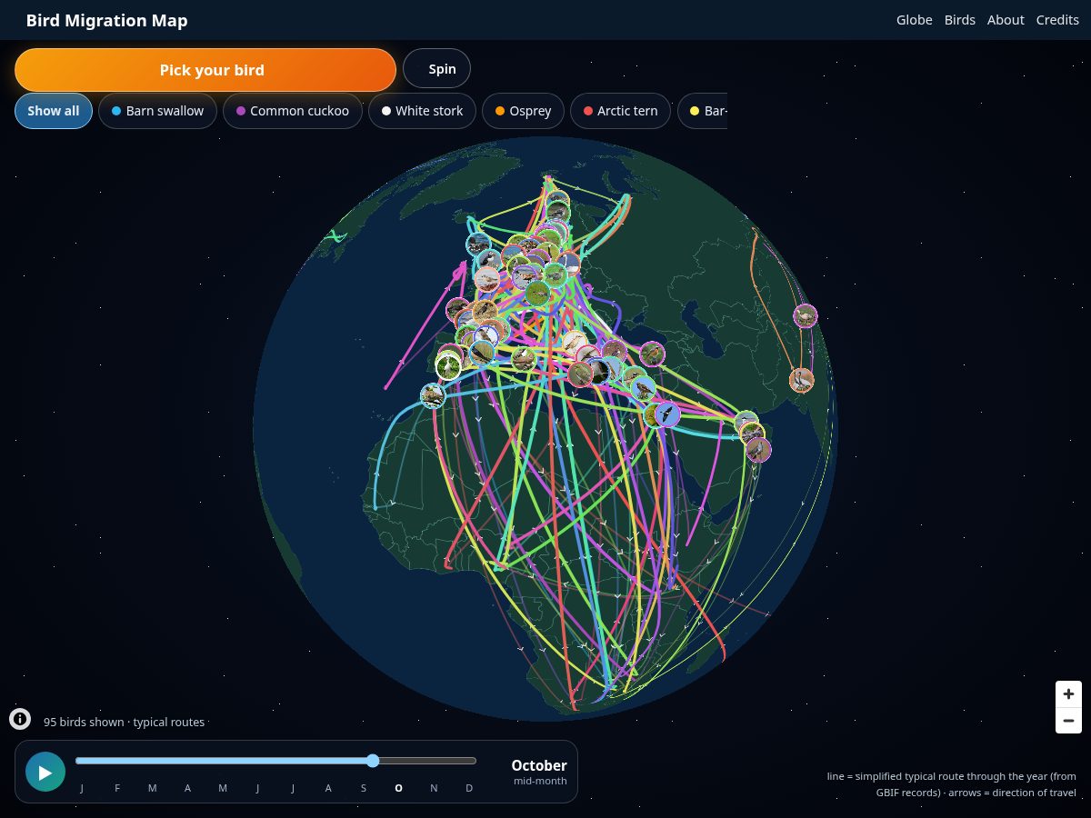 Landing-page snapshot of birdmigrationmap.com