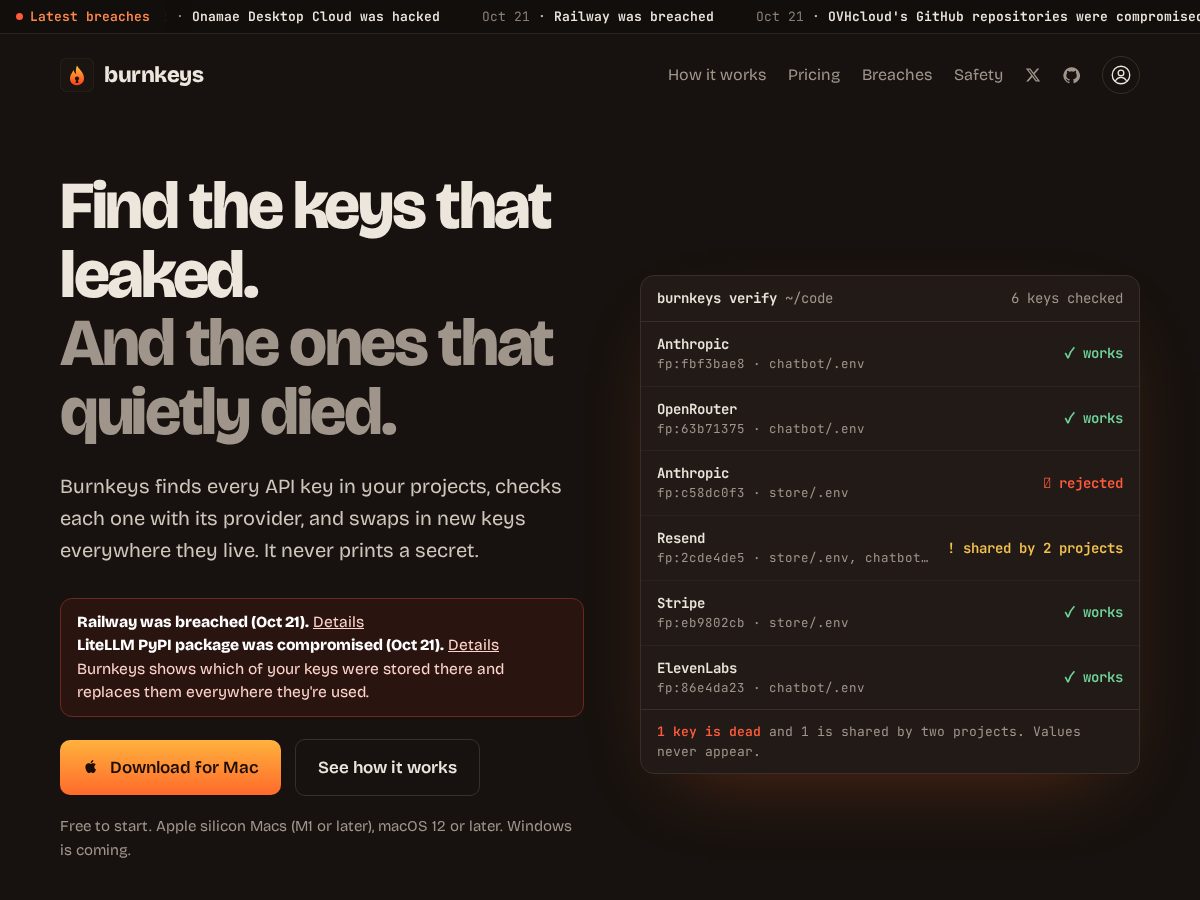 Landing-page snapshot of burnkeys.com