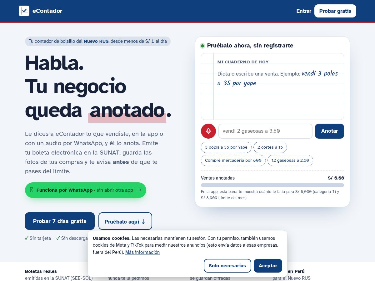 Landing-page snapshot of econtador.online
